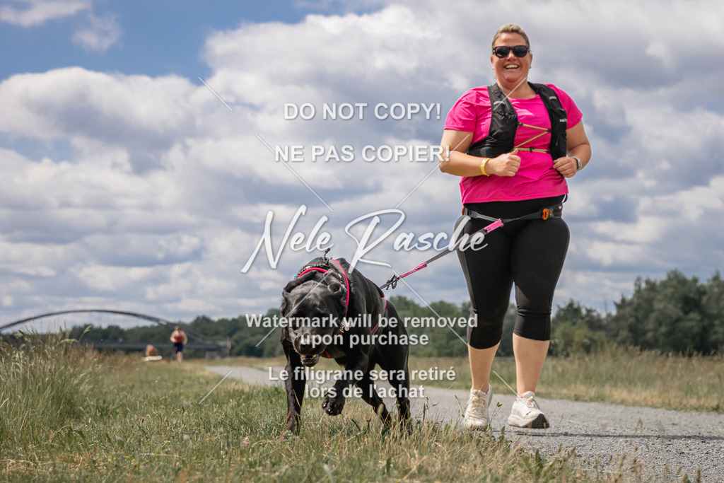nelerasche_BuHu2026_SaCC1100-1200_194 | nelerasche