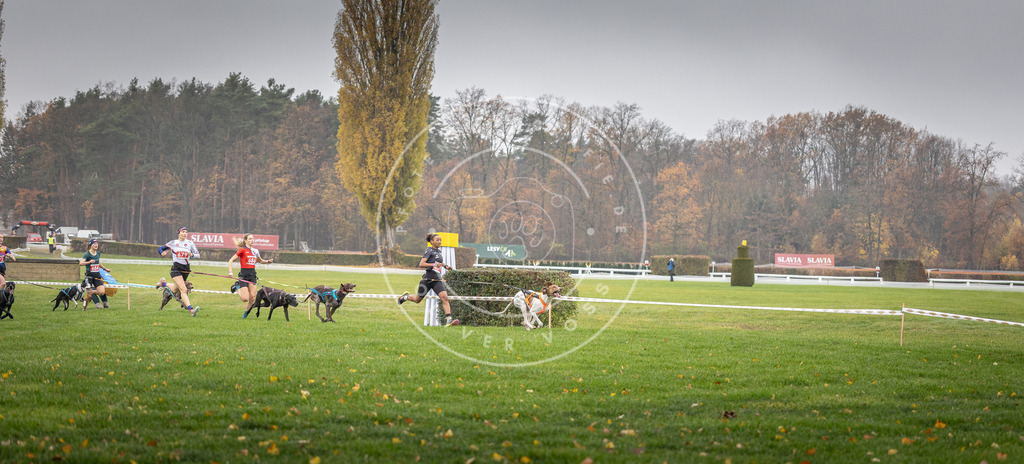 CaniXpix_DV3A8720 | Hundefotografie, Tierfotograf, Pfotenfotografie, Fotoshooting Hund, Hunde Portrait, Hundesport, Hundeportraits, Heideshooting, Hunde, Sportfotograf, Hundefotograf, Turnierhundsport, THS,  - Realisiert mit Pictrs.com