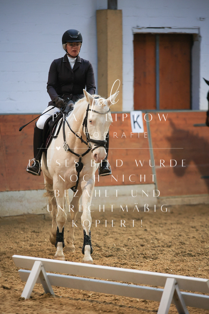 IMGT1778 | pl-fotografie