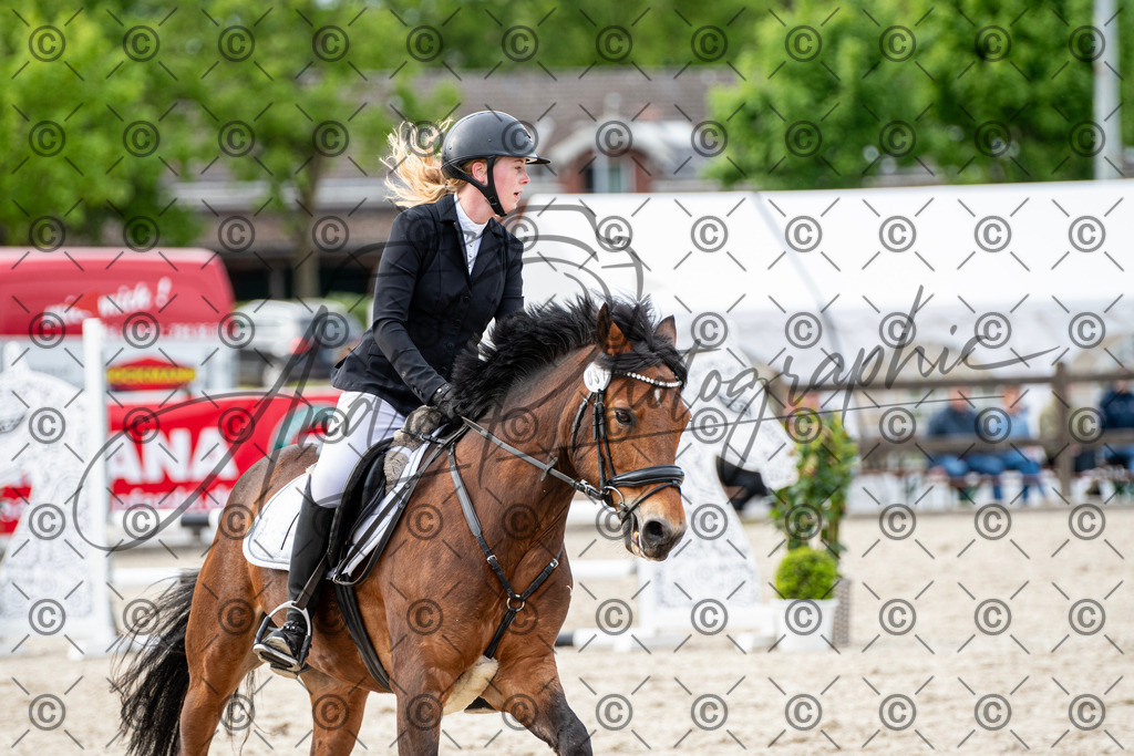 KPT_7116 | andre_photographic