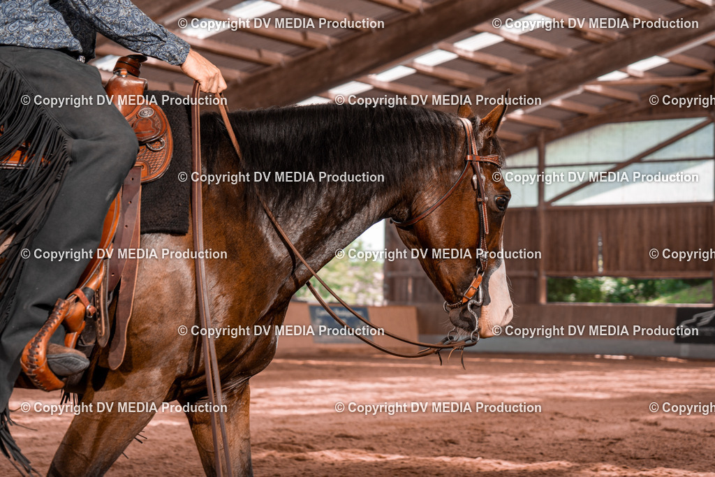 NE100694 | dv-media-shop - Realisiert mit Pictrs.com