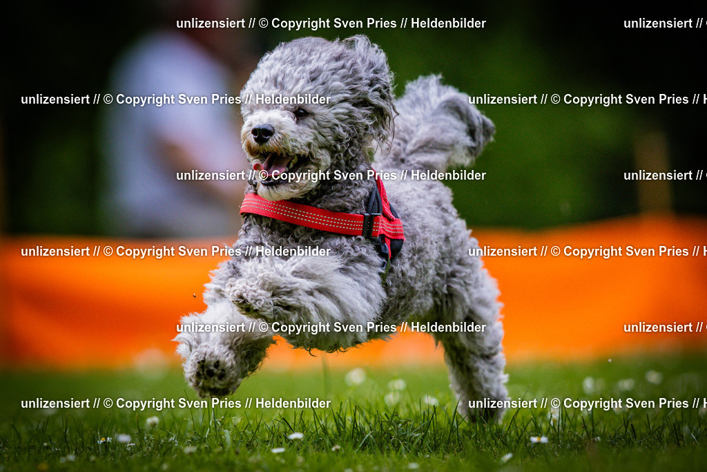 Sven Pries | 2025-05-29 - Pudelrennen KA-Durlach - Realisiert mit Pictrs.com