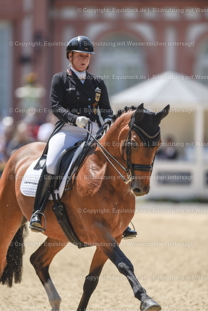 20230527_01_GP-Kür-Tour_0173 | equistock