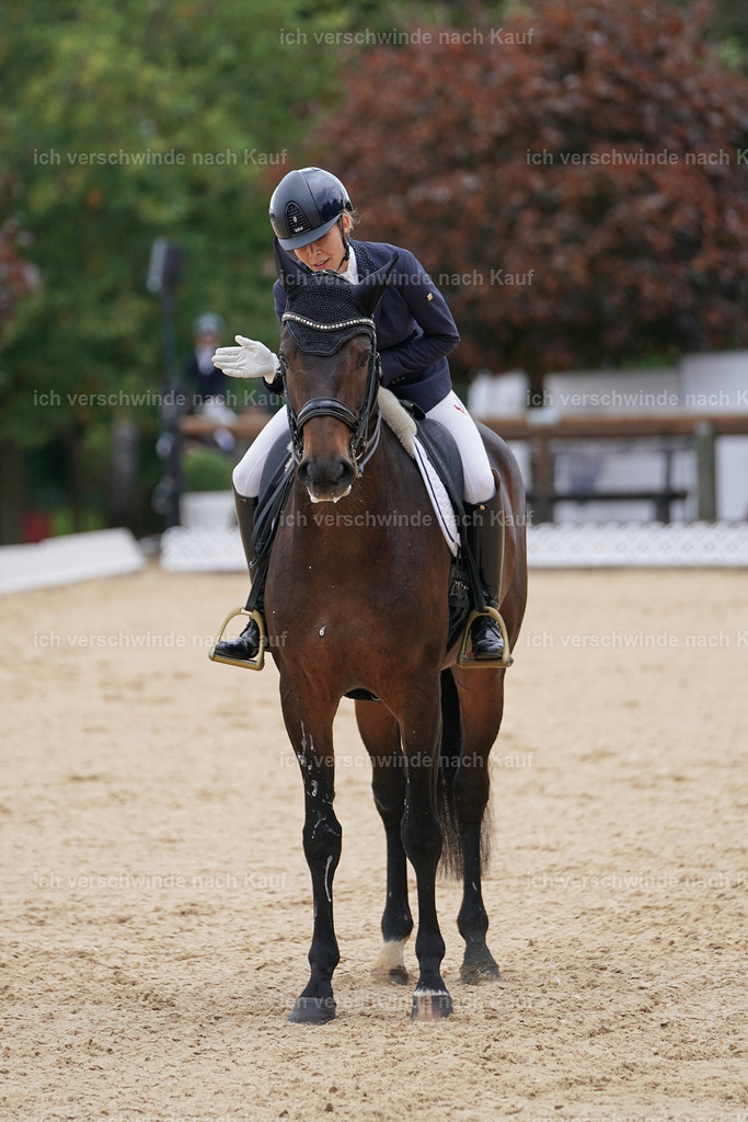 3-241-Dressur M_-Marixx-2199 | working equitationturnier fotograf videograf stoibphotography marixx film working equitation deutschland reitsport turnierfotografie eventfotografie equestrian events