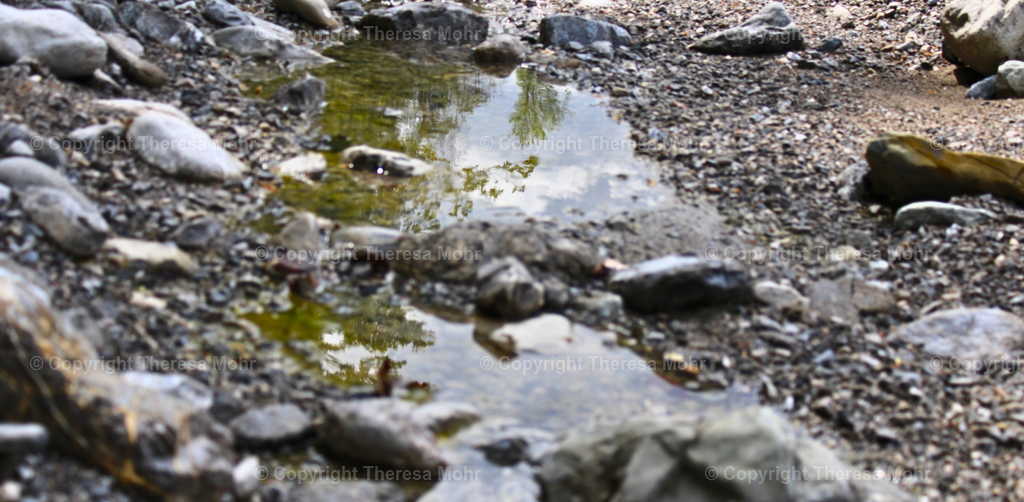 Wasser Nahaufnahme  | Naturpuls - Realisiert mit Pictrs.com