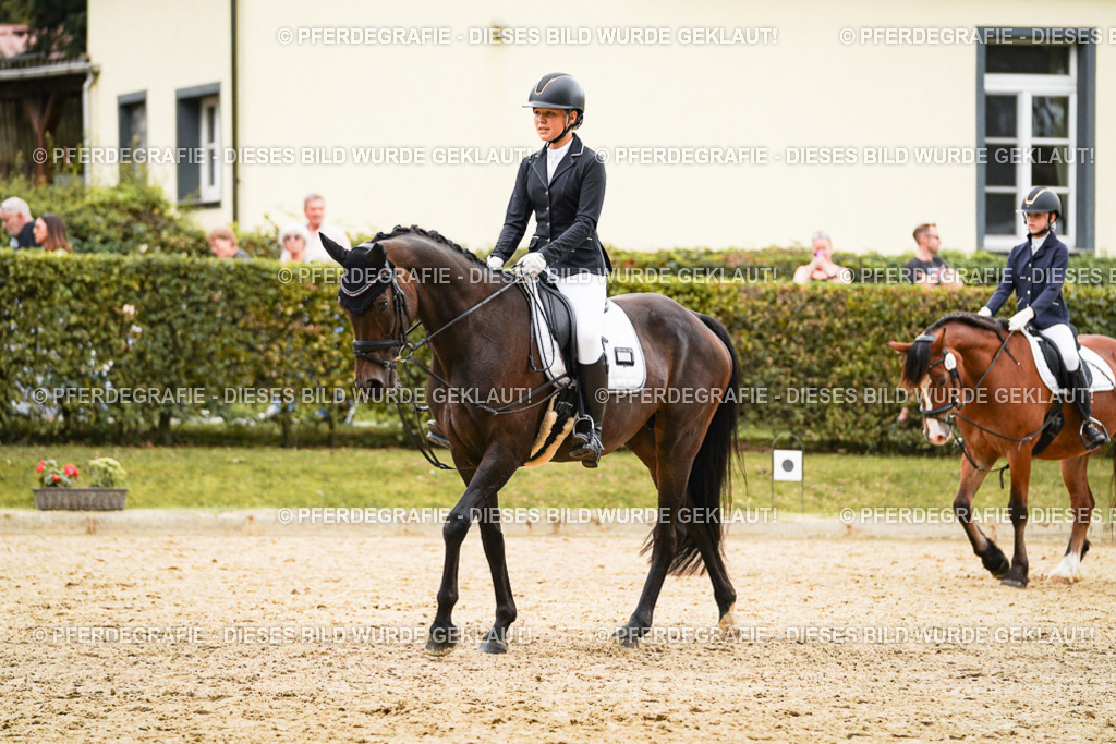 DSC00148 | Pferdegrafie