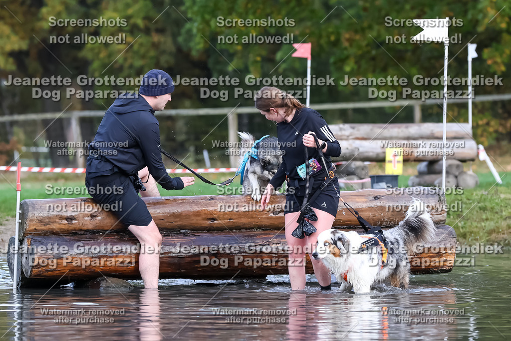 Dog Paparazzi - Strongdog 10-25-6882 | Dog Paparazzi Jeanette Grottendiek Fotografie & Videografie - Realisiert mit Pictrs.com