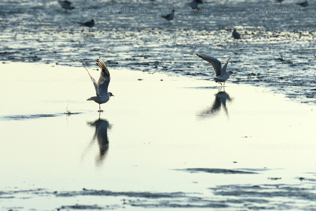 Cuxhaven_ELS_8230270716 | Fotos aus den Touristenorten aus Norddeutschland. - Realisiert mit Pictrs.com