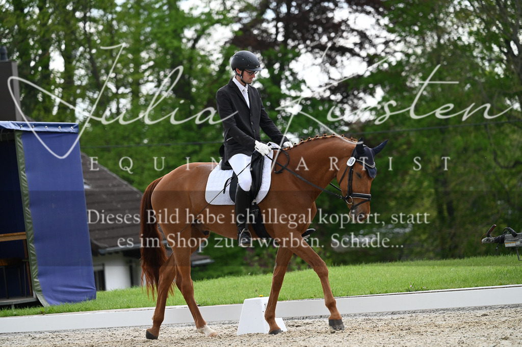 20230512_JK-Röhrsdorf-03-019 | Pferde- und Turnierfotografie in Westsachsen. Pferdeportraits, Auftragszeichnungen und intuitive Kunst.