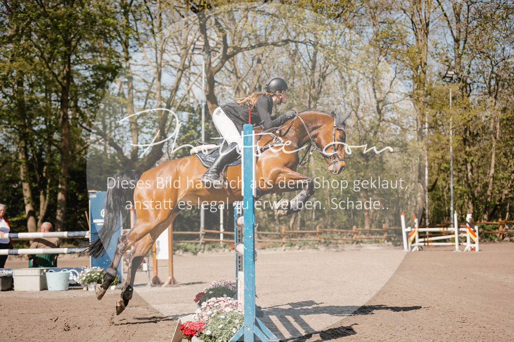 3I6A3939 | Stimmungsvolle Portraits und Reitsportfotografie im Ruhrgebiet und im Münsterland.

Pferdefotografie, Hundefotografie, Tierfotografie, Reportagen, Portraits von Tier und Mensch, Turnierfotografie in Bochum, Recklinghausen, Marl, Haltern am See, Dülmen.. - Realisiert mit Pictrs.com