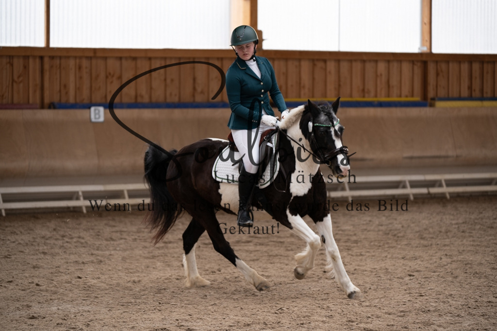 A7V09447 | Pferdefotograf