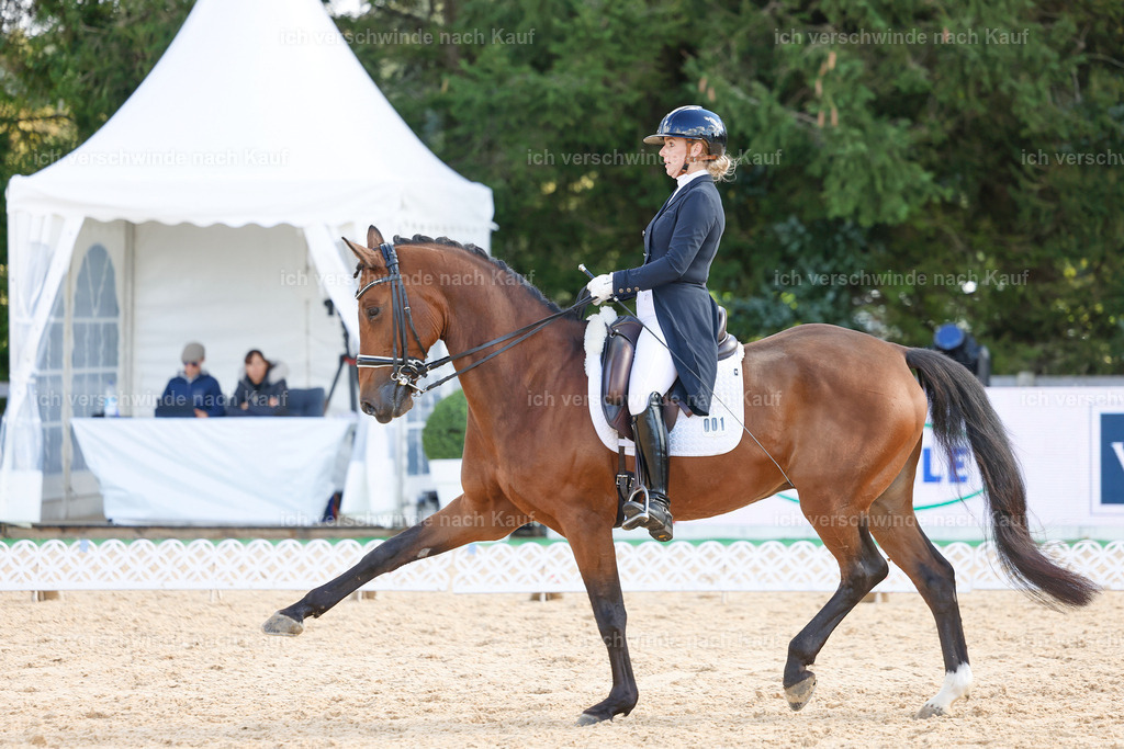 09_2-001-DRESSUR  S_  -StoibPH-5806 | working equitationturnier fotograf videograf stoibphotography marixx film working equitation deutschland reitsport turnierfotografie eventfotografie equestrian events