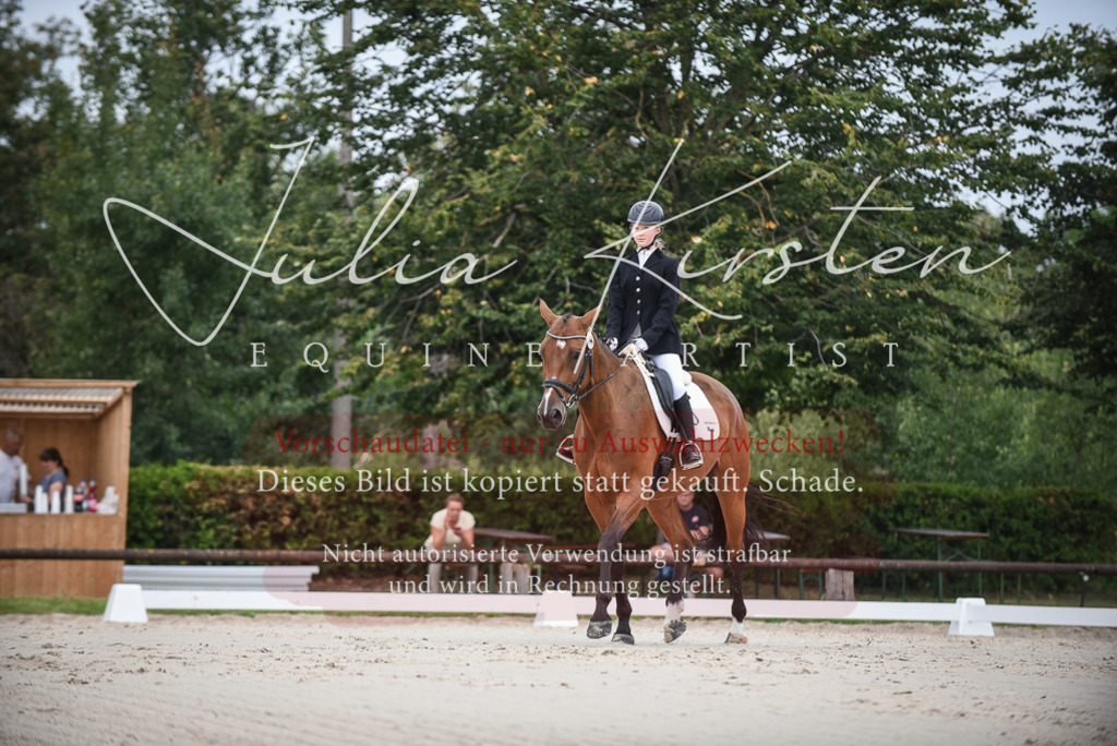 DSC_7999 | Pferde- und Turnierfotografie in Westsachsen. Pferdeportraits, Auftragszeichnungen und intuitive Kunst.