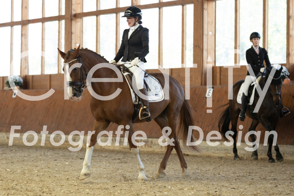 IMG_4837 | Creatify Fotografie