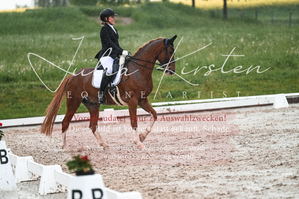 DSC_4629 | Pferde- und Turnierfotografie in Westsachsen. Pferdeportraits, Auftragszeichnungen und intuitive Kunst.