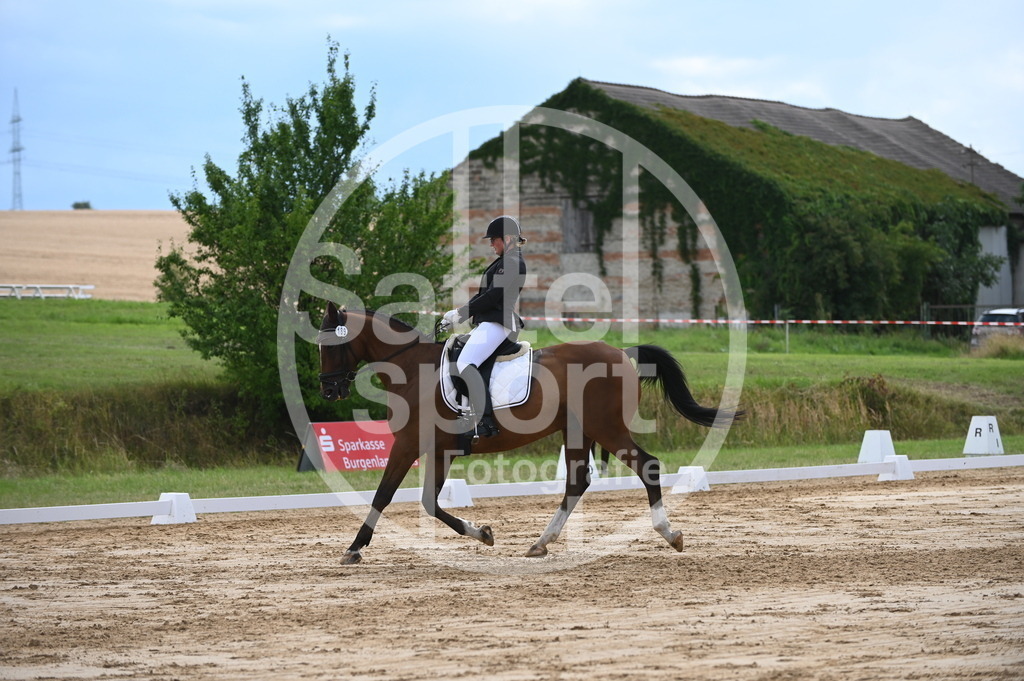 DSC_7627 | sattelsport - Realisiert mit Pictrs.com