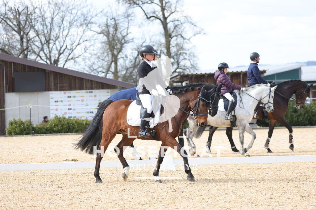 0P6A7472 | Willkommen bei Brunnmayr - Design & Fotografie – Ihrem Spezialisten für Reitturniere und Pferdeveranstaltungen in Oberösterreich, Salzburg und Bayern! Seit über 17 Jahren sind wir leidenschaftlich dabei.