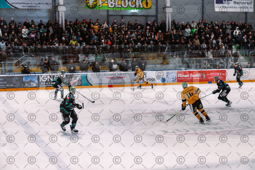 Alligators_vs_Toelz_18_11_2025-35 | Höchstadt Alligators Fotogalerie: Eishockey-Action aus Franken. Professionelle Spielfotos, Portraits & Stadionbilder zum Download. Jetzt entdecken! - Realisiert mit Pictrs.com