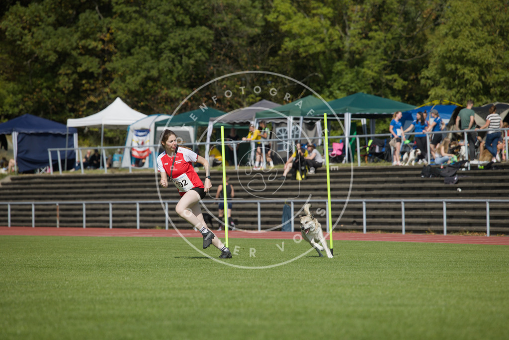 0L8A3424 | Hundefotografie, Tierfotograf, Pfotenfotografie, Fotoshooting Hund, Hunde Portrait, Hundesport, Hundeportraits, Heideshooting, Hunde, Sportfotograf, Hundefotograf, Turnierhundsport, THS,  - Realisiert mit Pictrs.com
