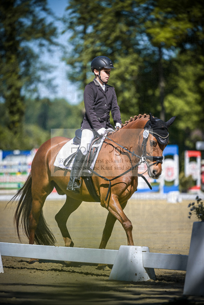 DOS_7648 | Entdecke hochwertige Reitturnierfotos von Foto Oger. Professionell, emotional und authentisch – jetzt Lieblingsmomente im Shop bestellen.Deutschlandweite Turnierfotografie. - Realisiert mit Pictrs.com