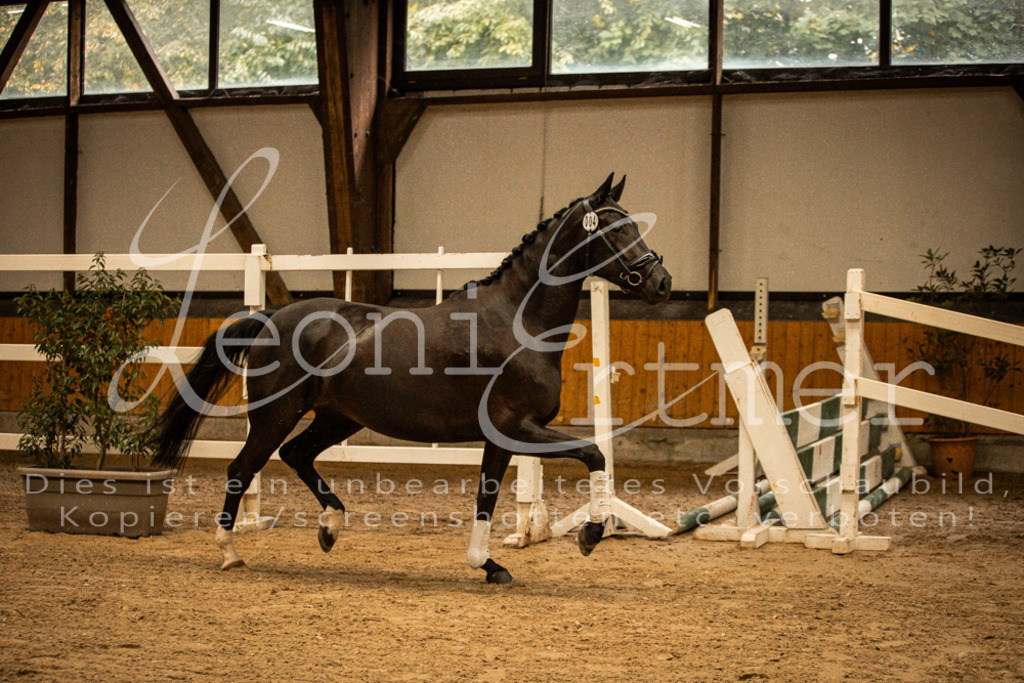 1FS_L00096 | Leoni Ertmer Photography - Realisiert mit Pictrs.com