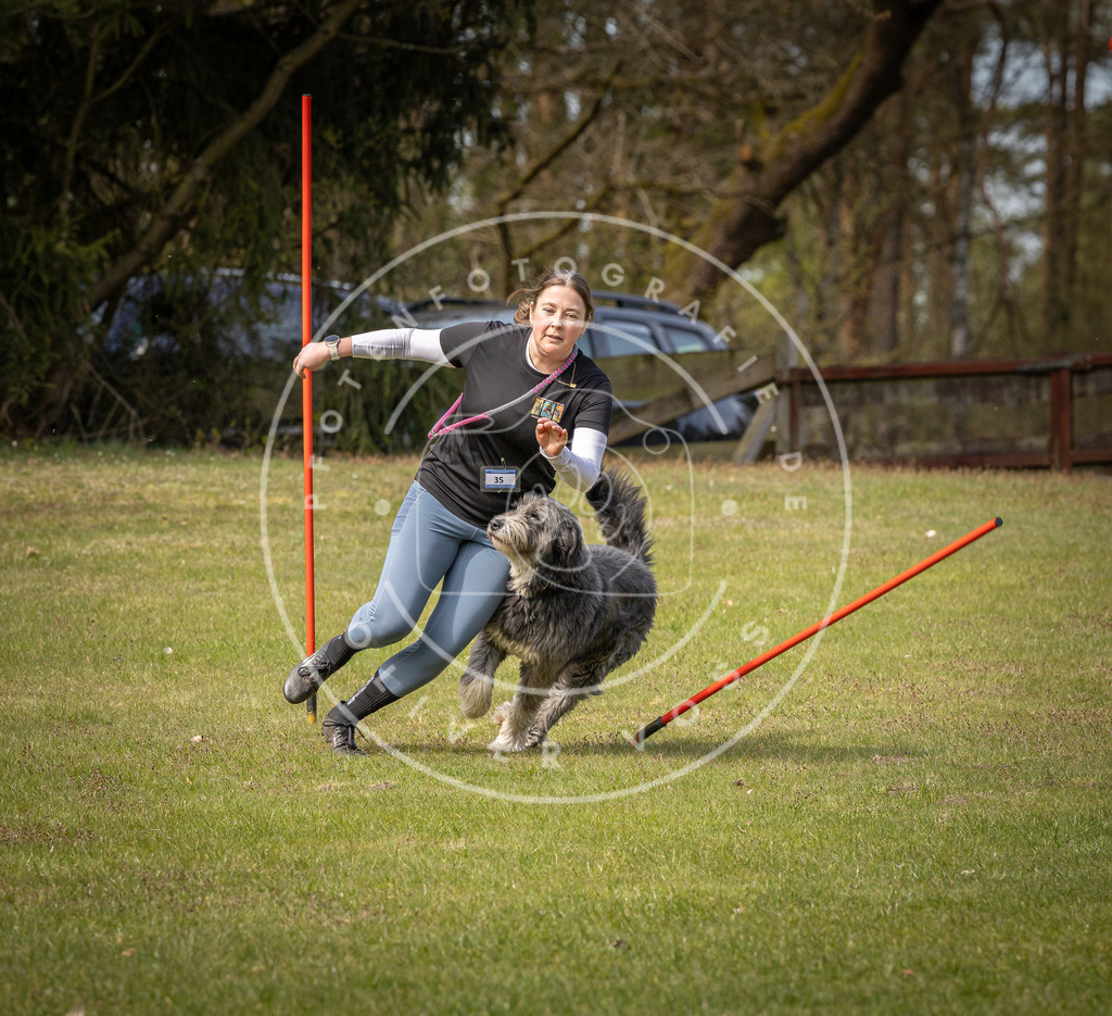 Pfotenfotografie_DV3A7350 | Hundefotografie, Tierfotograf, Pfotenfotografie, Fotoshooting Hund, Hunde Portrait, Hundesport, Hundeportraits, Heideshooting, Hunde, Sportfotograf, Hundefotograf, Turnierhundsport, THS,  - Realisiert mit Pictrs.com