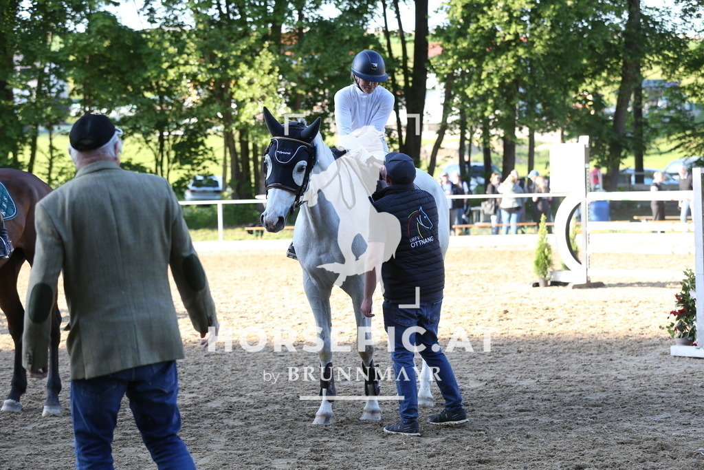 DL2Q3186 | Willkommen bei Brunnmayr - Design & Fotografie – Ihrem Spezialisten für Reitturniere und Pferdeveranstaltungen in Oberösterreich, Salzburg und Bayern! Seit über 17 Jahren sind wir leidenschaftlich dabei.