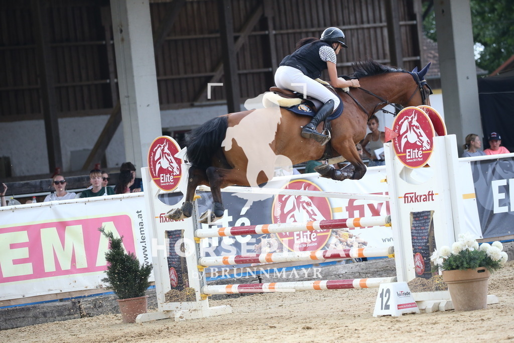 DL2Q5161 | Willkommen bei Brunnmayr - Design & Fotografie – Ihrem Spezialisten für Reitturniere und Pferdeveranstaltungen in Oberösterreich, Salzburg und Bayern! Seit über 17 Jahren sind wir leidenschaftlich dabei.
