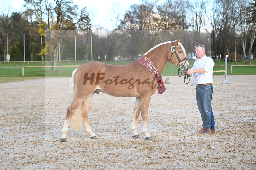 Kat-Nr. 35 Whisky Coke v. Wyno_Mayer_60221772 | hf-fotografie - Realisiert mit Pictrs.com