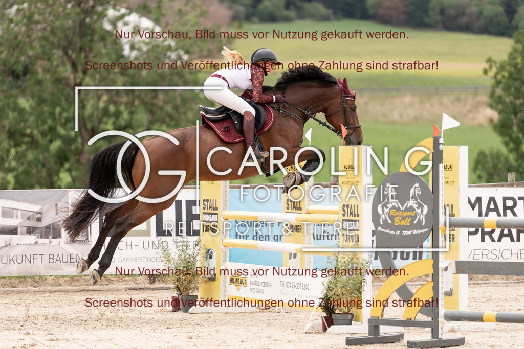 DSC06573 | Springturnier_Teamchallege_Talheim_2026, Shakira-Vivien_Weber, Little_Dollar_Girl