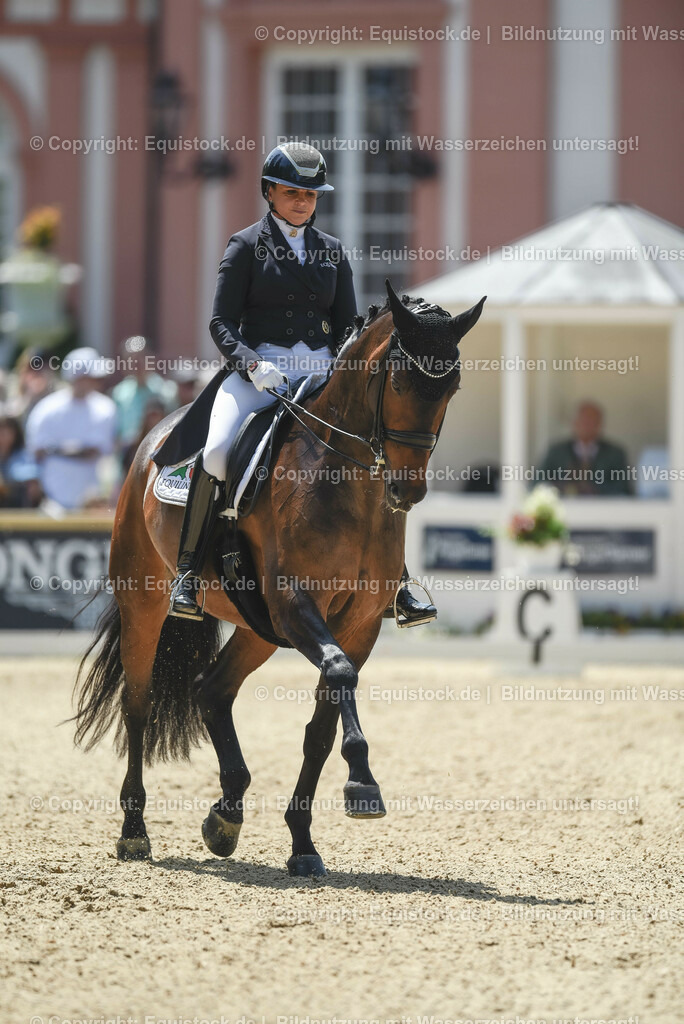 20230527_01_GP-Kür-Tour_0268 | equistock
