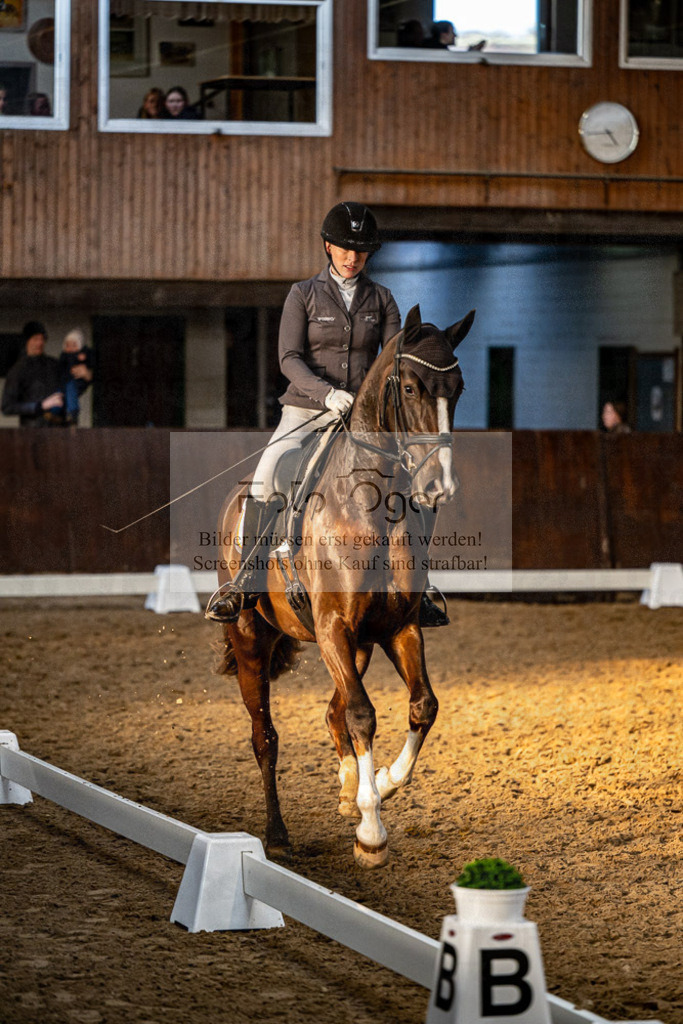 20240308-DOS_4855 | Entdecke hochwertige Reitturnierfotos von Foto Oger. Professionell, emotional und authentisch – jetzt Lieblingsmomente im Shop bestellen.Deutschlandweite Turnierfotografie. - Realisiert mit Pictrs.com