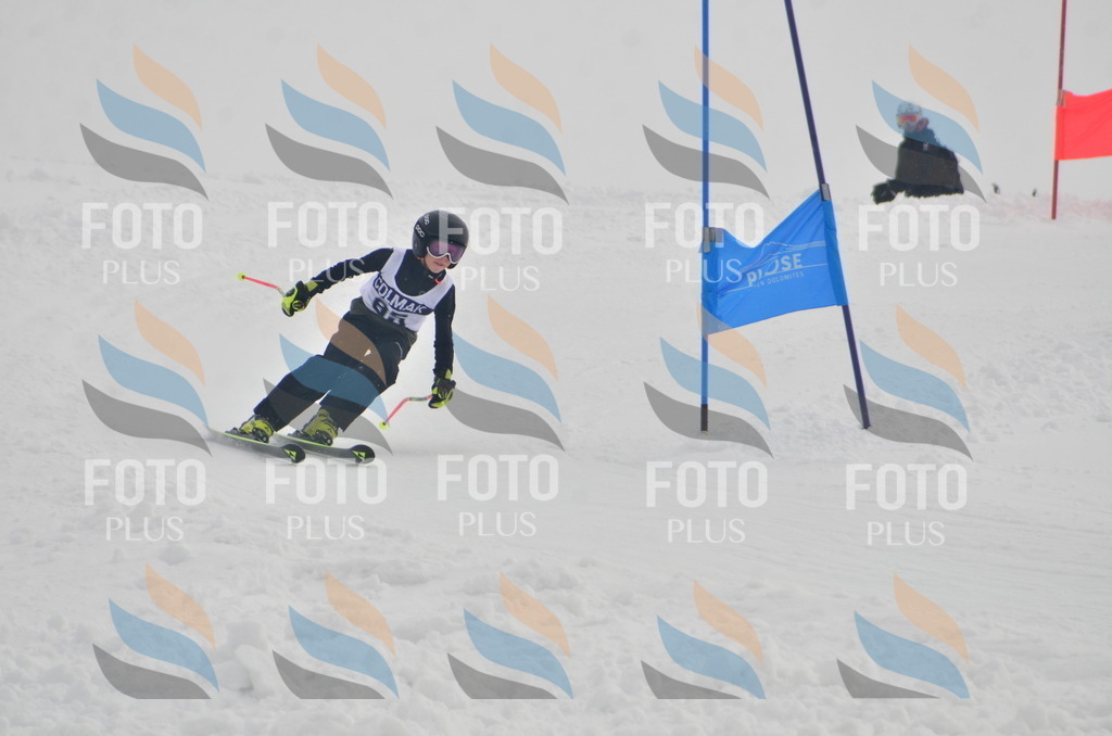 A5531 | holidayphoto