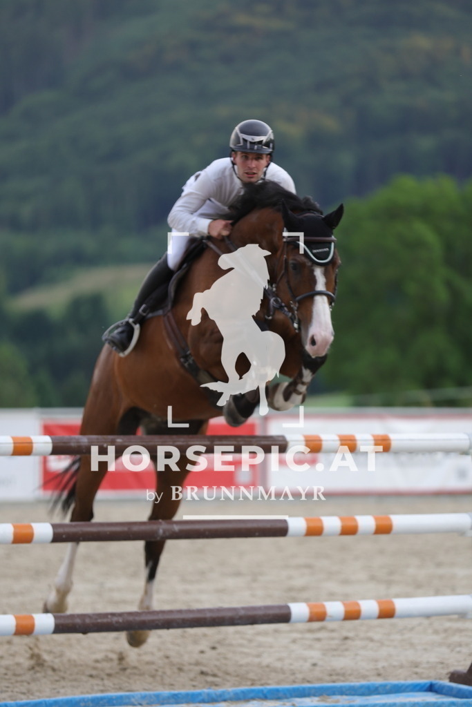 0P6A2236 | Willkommen bei Brunnmayr - Design & Fotografie – Ihrem Spezialisten für Reitturniere und Pferdeveranstaltungen in Oberösterreich, Salzburg und Bayern! Seit über 17 Jahren sind wir leidenschaftlich dabei.