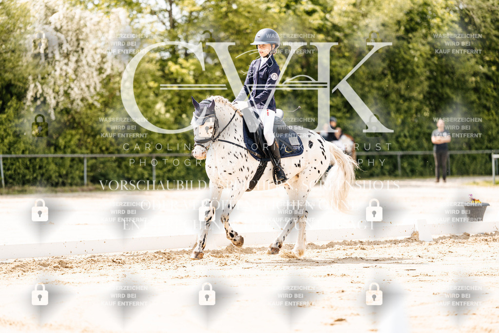 CK901713 | Turnierfotografie Pferdefotografie Trier Rheinland-Pfalz Pferdesport Reitsport Tierfotografie Sportfotografie Pferdevideo Pferdevideografie Equestrianvideography equestrianphotography  - Realisiert mit Pictrs.com