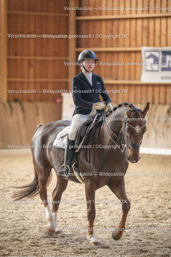 _D5A6282 | Emotionale Pferde- & People-Fotografie rund um Heidelberg, Leimen & Umgebung. Natürliche Fotos von Pferd, Mensch & Familie. Jetzt Termin sichern!