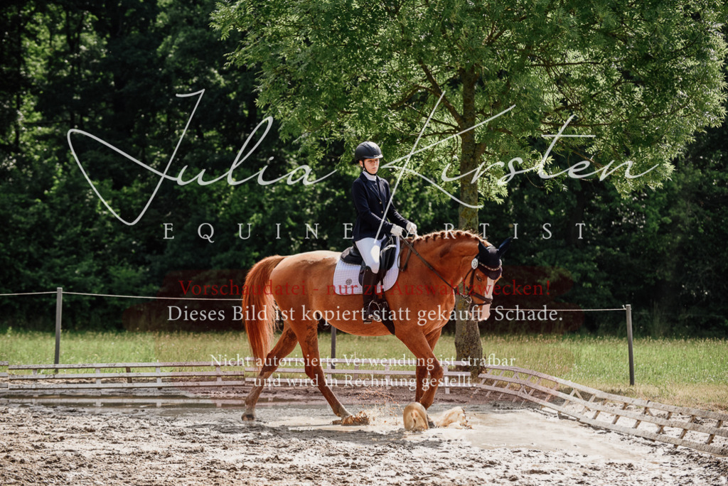 DSC_0006 | Pferde- und Turnierfotografie in Westsachsen. Pferdeportraits, Auftragszeichnungen und intuitive Kunst.