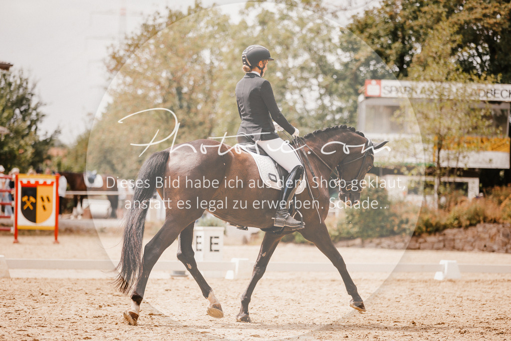 3I6A6307 | Stimmungsvolle Portraits und Reitsportfotografie im Ruhrgebiet und im Münsterland.

Pferdefotografie, Hundefotografie, Tierfotografie, Reportagen, Portraits von Tier und Mensch, Turnierfotografie in Bochum, Recklinghausen, Marl, Haltern am See, Dülmen.. - Realisiert mit Pictrs.com