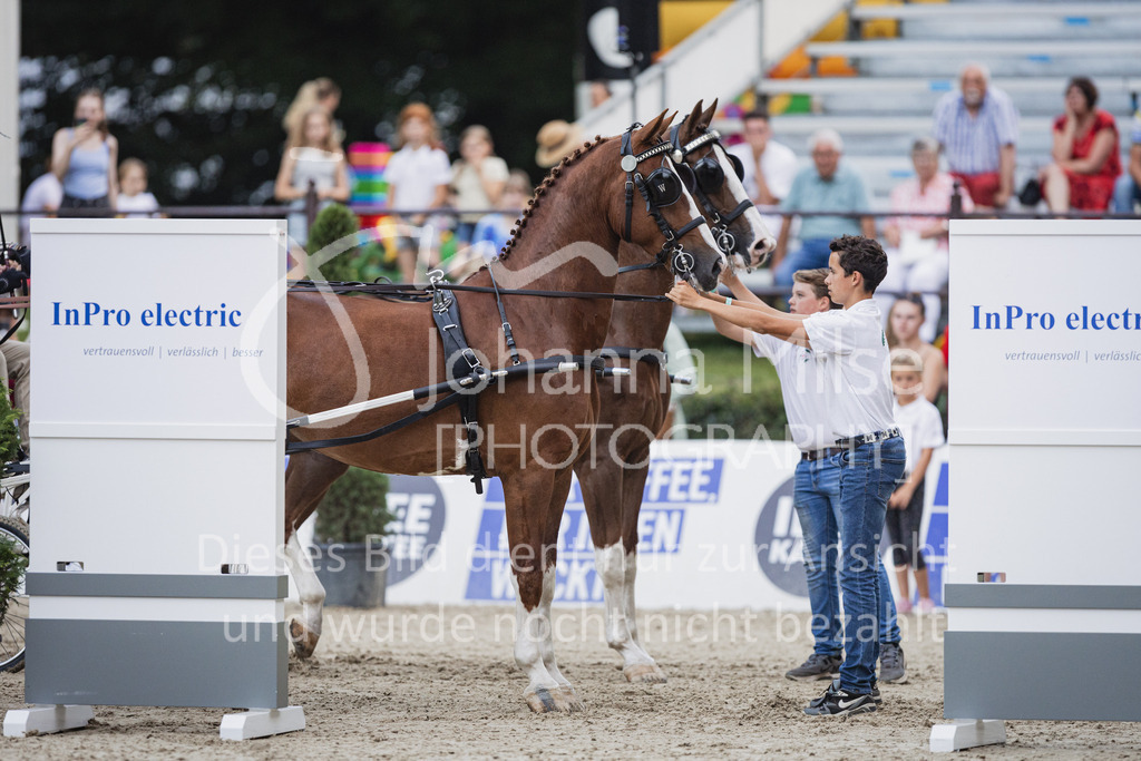 230909_OWLCh_Championat-615 | Deine schönsten Turniermomente als professionelle Fotos! Entdecke hochwertige Pferdesport-Fotografie im Online-Shop. Jetzt Fotos finden & bestellen!