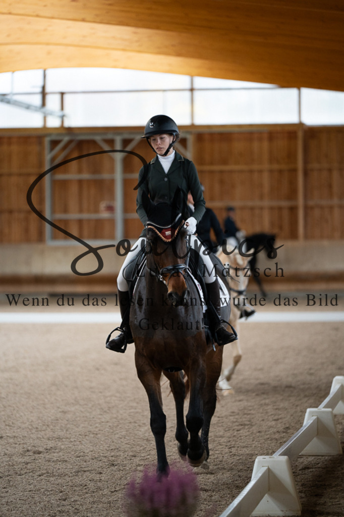 A7V02184 | Pferdefotograf