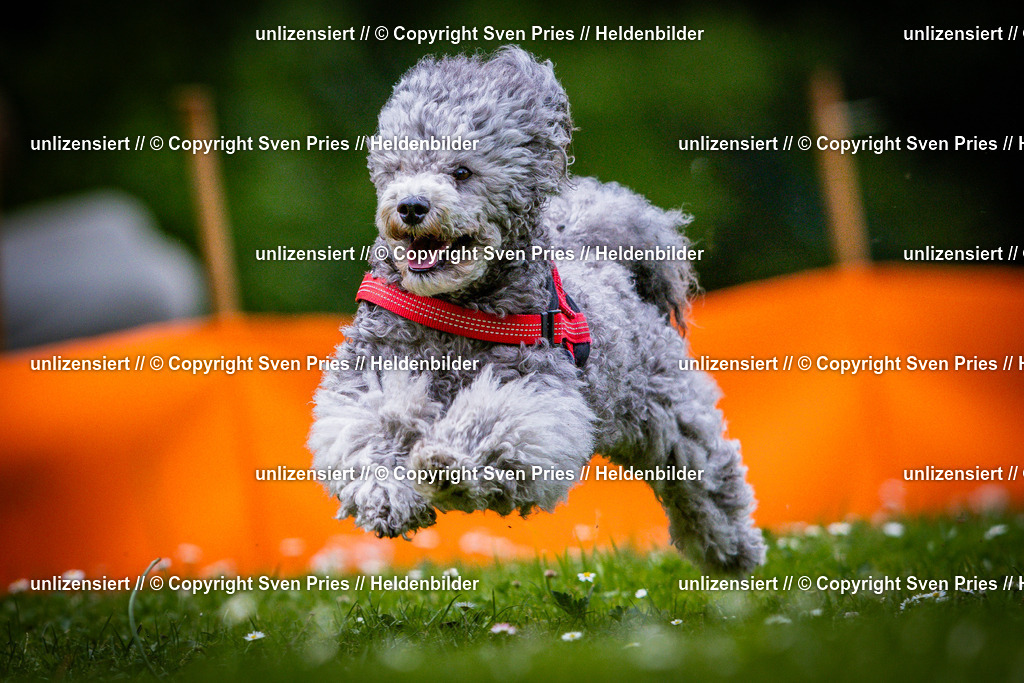 Sven Pries | 2025-05-29 - Pudelrennen KA-Durlach - Realisiert mit Pictrs.com