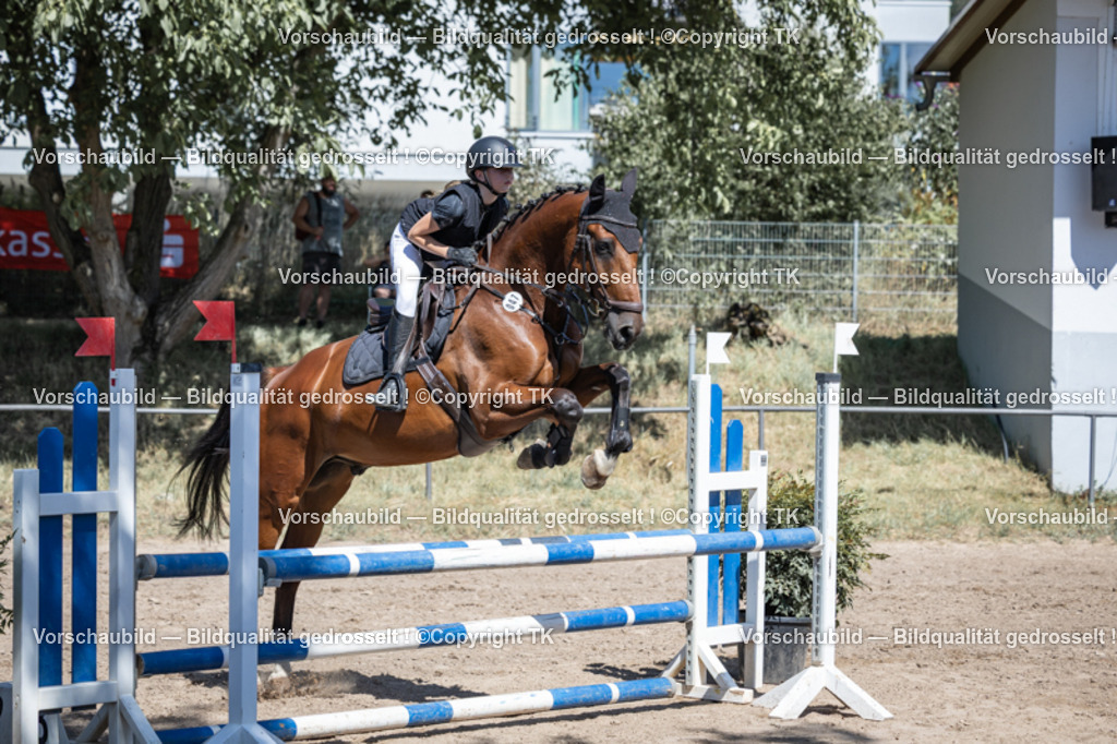 _D5A7498 | Emotionale Pferde- & People-Fotografie rund um Heidelberg, Leimen & Umgebung. Natürliche Fotos von Pferd, Mensch & Familie. Jetzt Termin sichern!
