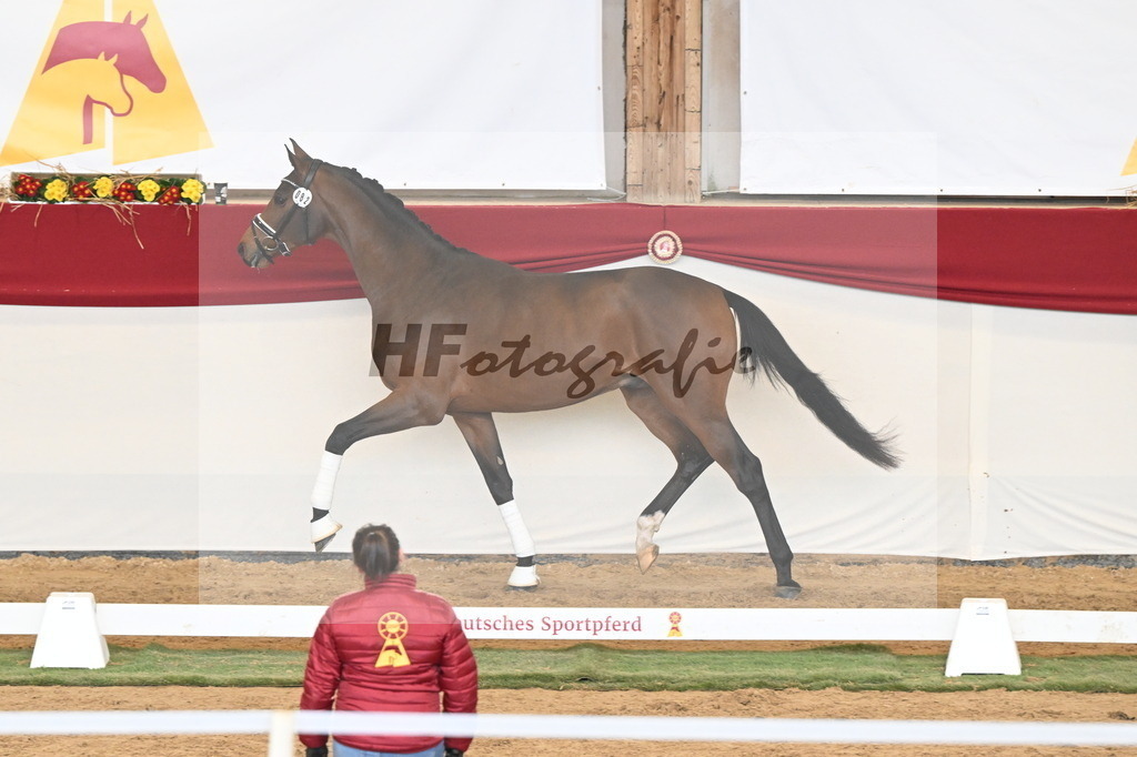 Kat.-Nr. 82 v. Va_ Pensiero_Stuppert_3261165 | hf-fotografie - Realizzato con Pictrs.com