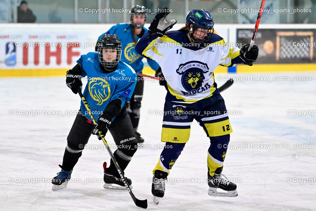 BST_6528 | hockey sports photos, Pressefotos, Sportfotos, hockey247, win 2day icehockeyleague, Handball Austria, Floorball Austria, ÖVV, Kärntner Eishockeyverband, KEHV, KFV, Kärntner Fussballverband, Österreichischer Volleyballverband, Alps Hockey League, ÖFB, 