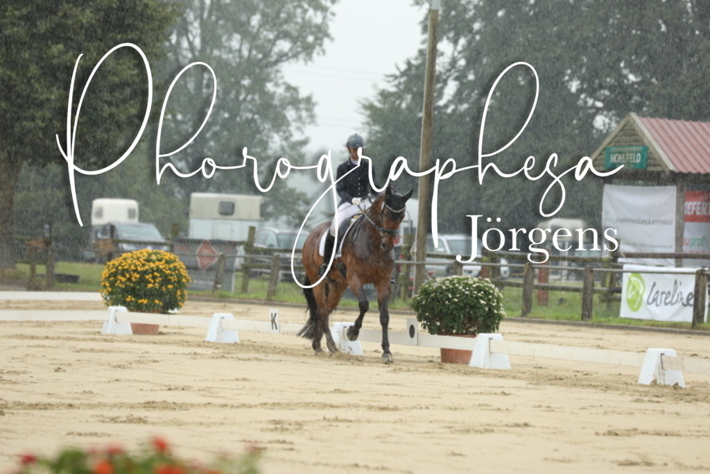 IMG_4765 | photographesa-joergens - Realisiert mit Pictrs.com