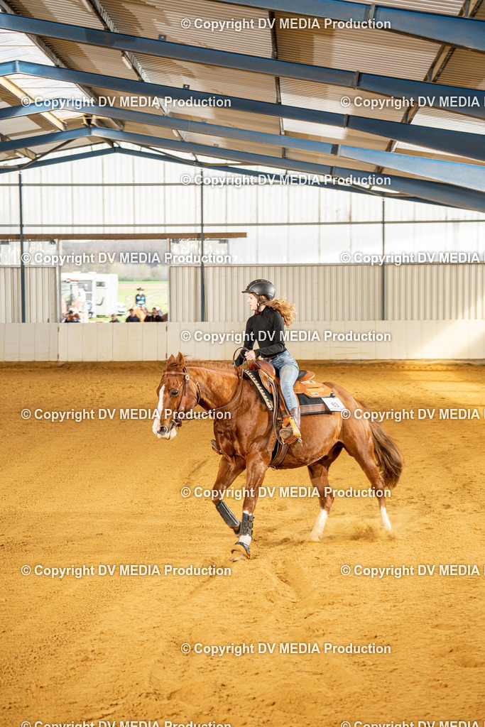 MIT00865 | dv-media-shop - Realisiert mit Pictrs.com