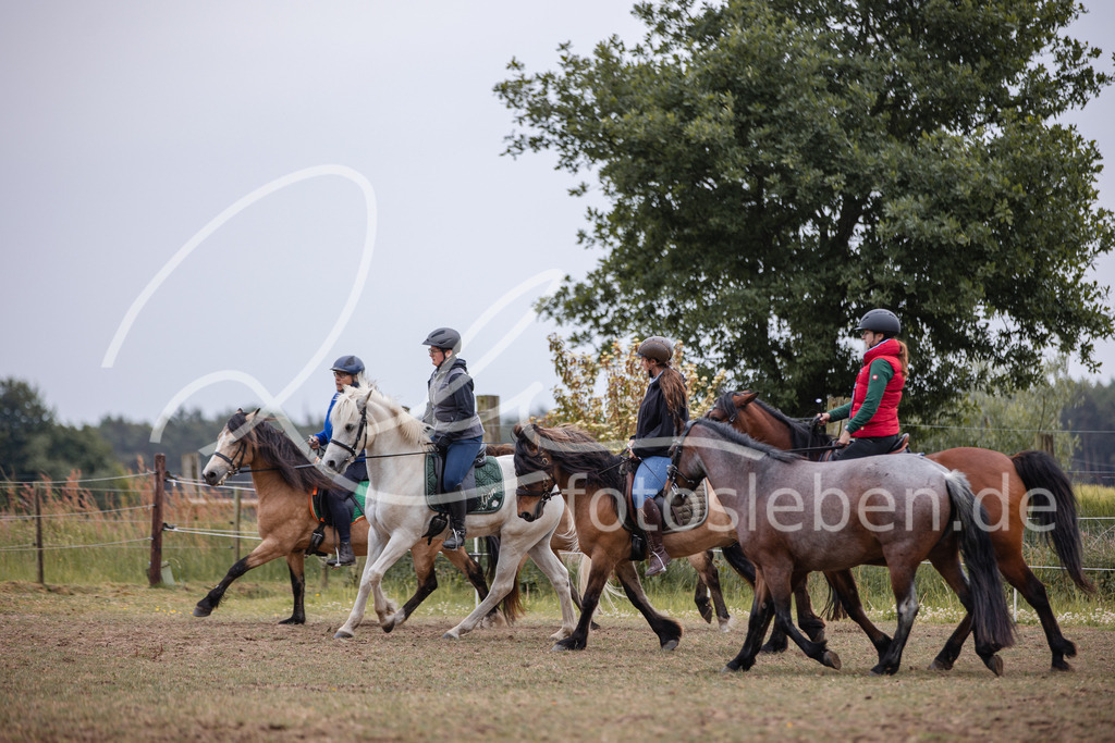 846A0300 | fotosleben - Realisiert mit Pictrs.com