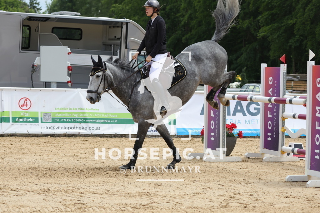 0P6A8212 | Willkommen bei Brunnmayr - Design & Fotografie – Ihrem Spezialisten für Reitturniere und Pferdeveranstaltungen in Oberösterreich, Salzburg und Bayern! Seit über 17 Jahren sind wir leidenschaftlich dabei.