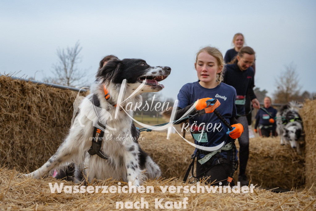 0846_ZZ94647 | kk-dogfotos
