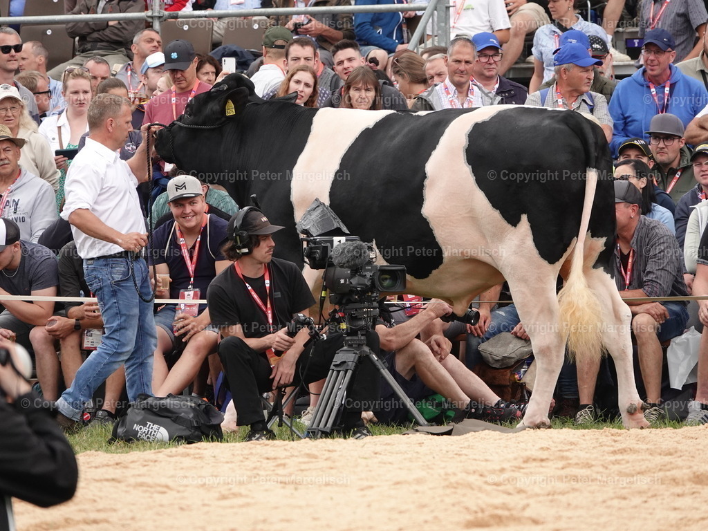 DSC04932 | Schwingen - Realisiert mit Pictrs.com